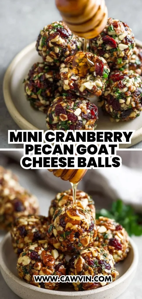 Mini Cranberry Pecan Goat Cheese Balls 2 - Easy Peasy Recipes