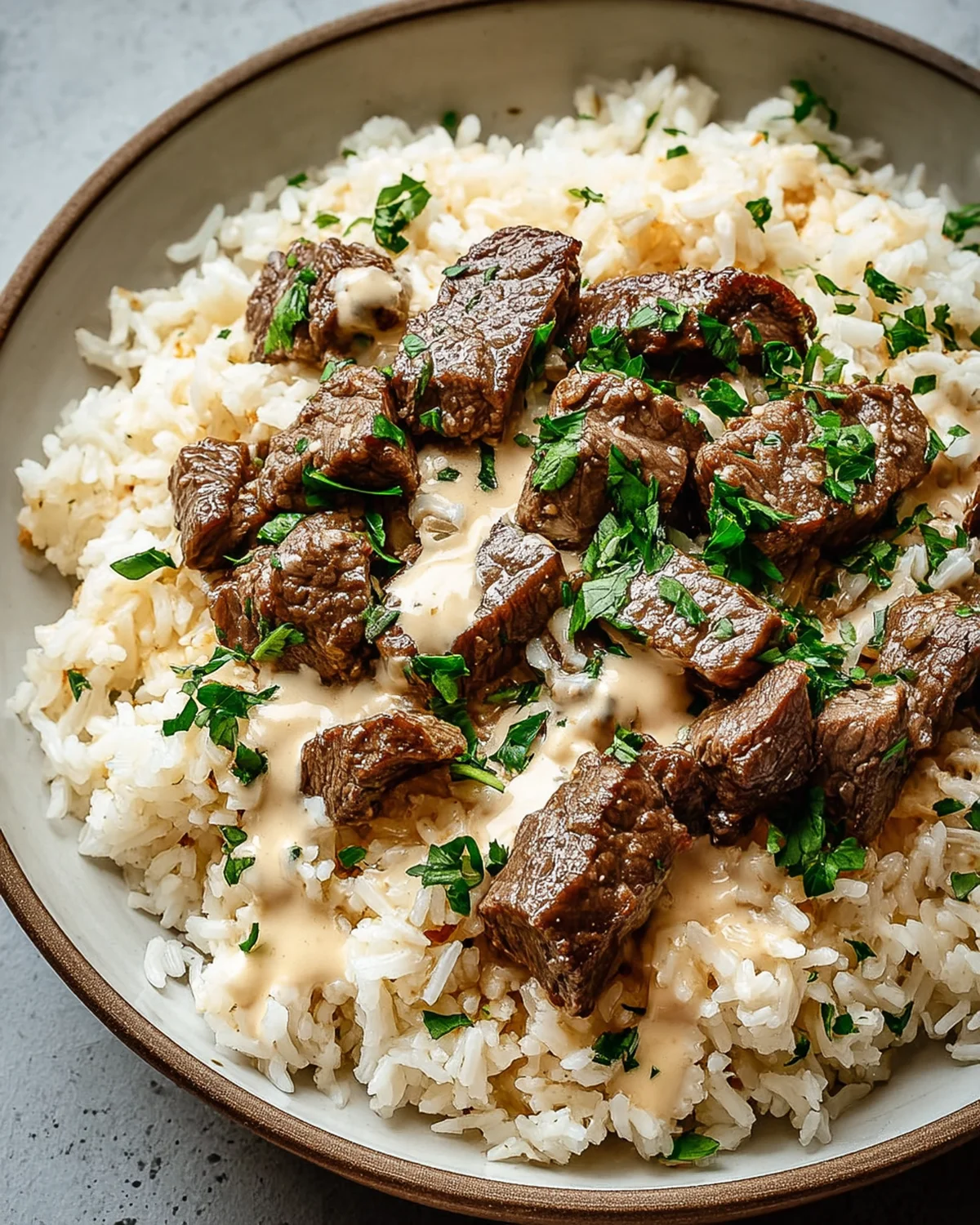 Steak Queso Rice - Image 2