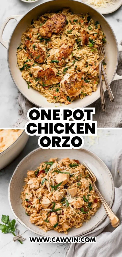 One Pot Chicken Orzo 2 1 - Easy Peasy Recipes