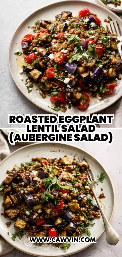 Roasted Eggplant Lentil Salad Aubergine Salad 2 1 - Easy Peasy Recipes